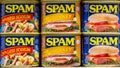 Can tins of Assorted SPAM meat