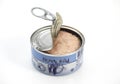 CAN OF TUNA FISH Royalty Free Stock Photo