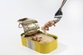 Can of tuna and a fork Royalty Free Stock Photo