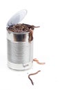 Can of worms Royalty Free Stock Photo