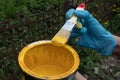 A can of yellow paint and a hand holding a brush dipped in it