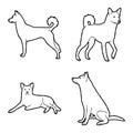 Canaan Dog Animal Vector Illustration Hand Drawn Cartoon Art