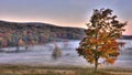 Canaan Valley Fall Scene