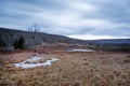 Canaan Valley field and beaver pond in West Virginia