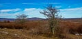 Canaan valley west virginia