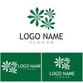 Canabis Logo Template vector symbol nature