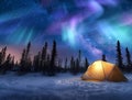 Canada Arctic Circle Aurora Over Forest Generative AI Royalty Free Stock Photo