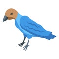 Canada bird icon isometric vector. Nature animal