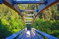 Canada British Columbia hanging bridge wood forest trees
