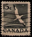 CANADA - CIRCA 1954: post stamp 15 Canadian cents printed by Canada, shows bird Northern Gannet (Morus bassanus)