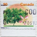 Canada - CIRCA 1995: A postage stamp printed in Canada with a flowering Elberta peach tree