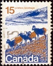 CANADA - CIRCA 1972: A stamp printed in Canada shows American bighorns, circa 1972. Royalty Free Stock Photo