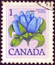 CANADA - CIRCA 1977: A stamp printed in Canada shows Bottle Gentian flower, circa 1977.