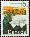 CANADA - CIRCA 1972: A stamp printed in Canada shows a forest, central Canada, circa 1972.