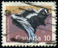 CANADA - CIRCA 1991: stamp printed in Canada shows animal Striped Skunk Mephitis mephitis, circa 1991