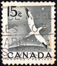 CANADA - CIRCA 1954: A stamp printed in Canada shows a Northern Gannet seabird, circa 1954.