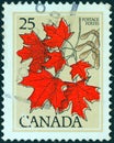 CANADA - CIRCA 1977: A stamp printed in Canada shows Sugar maple leaves, circa 1977.