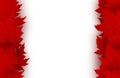 Canada day background design of red maple leaves isolated on white background vector illustration Royalty Free Stock Photo