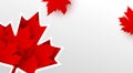 Canada day banner design of maple leaves on white background with copy space Vector illustration Royalty Free Stock Photo