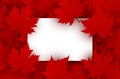 Canada day design of blank white paper and red maple leaves Royalty Free Stock Photo