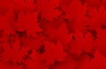 Canada day design of red maple leaves background Royalty Free Stock Photo