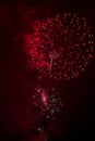 Canada Day, fireworks in the night summer sky. Royalty Free Stock Photo