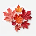 Happy Canada Day red silk maple leaf Royalty Free Stock Photo