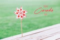 Canada Day text card background. Windmill whizzer with red maple leaves on white background outdoors. Toy with Canadian flag