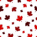 Canada Day Vector Seamless Patterns in Red Maple Leaf on white background