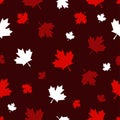 Canada Day Vector Seamless Patterns in White Maple Leaf on red background