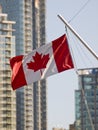 Canada flag Royalty Free Stock Photo
