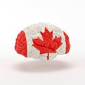 Canada Flag on Human brain. Royalty Free Stock Photo