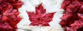 Canada Flag Made with Leaves on Birch - Banner Royalty Free Stock Photo