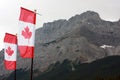 Canada flags Royalty Free Stock Photo