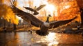 Canada Geese Migrating In Fall Royalty Free Stock Photo