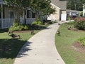 Canada Geese overpopulation in apartment complex