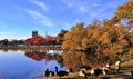 Canada Geese and Red and Golden Foliage