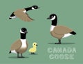 Canada Goose Cartoon Vector Illustration Royalty Free Stock Photo