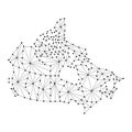 Canada map of polygonal mosaic lines network, rays, dots illustration.