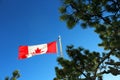 Canada maple flag