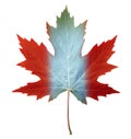 Canada Maple Leaf