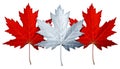 Canada Maple Leaf