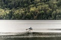 Canada Ontario Lake of two rivers Couple on a Canoe Canoes on the water Algonquin National Park Royalty Free Stock Photo