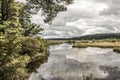 Canada Ontario Lake of two rivers natural wild landscape near the water in Algonquin National Park