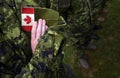 Canada patch flag on soldiers arm. Canadian troops Royalty Free Stock Photo