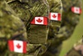 Canada patch flags on soldiers arm. Canadian troops Royalty Free Stock Photo