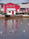 Lower North Shore, Village of Harrington Harbor