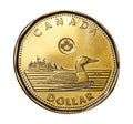 Canada`s one dollar coin features a loon