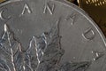 Canada (word) on Canadian Silver Maple Leaf Coin