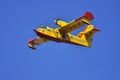 Canadair in flight.